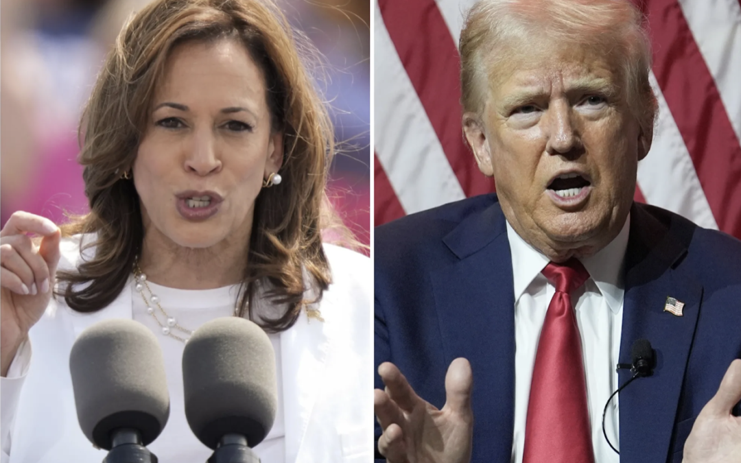 Harris Outpaces Trump In Local Fundraising, Despite Polling
